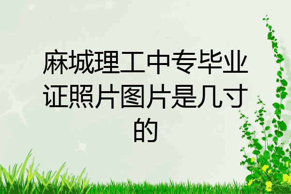麻城理工中专毕业证照片图片是几寸的