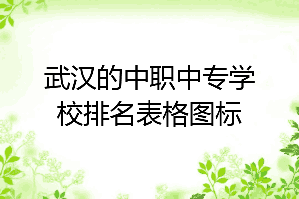 武汉的中职中专学校排名表格图标