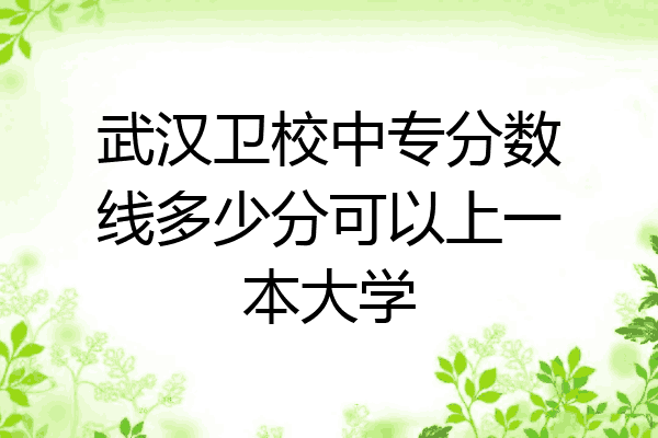 武汉卫校中专分数线多少分可以上一本大学
