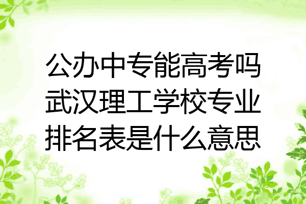 公办中专能高考吗武汉理工学校专业排名表是什么意思
