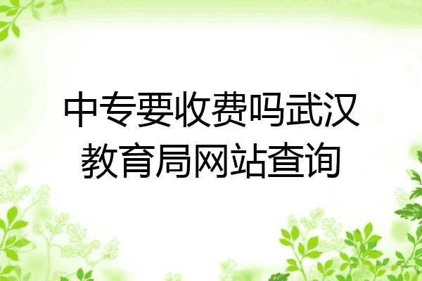 中专要收费吗武汉教育局网站查询