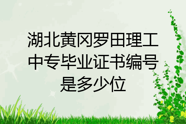 湖北黄冈罗田理工中专毕业证书编号是多少位