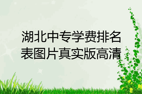 湖北中专学费排名表图片真实版高清