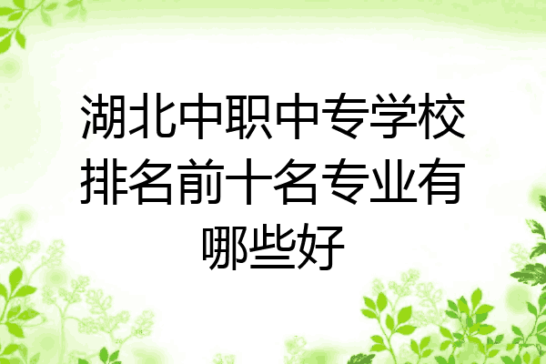 湖北中职中专学校排名前十名专业有哪些好