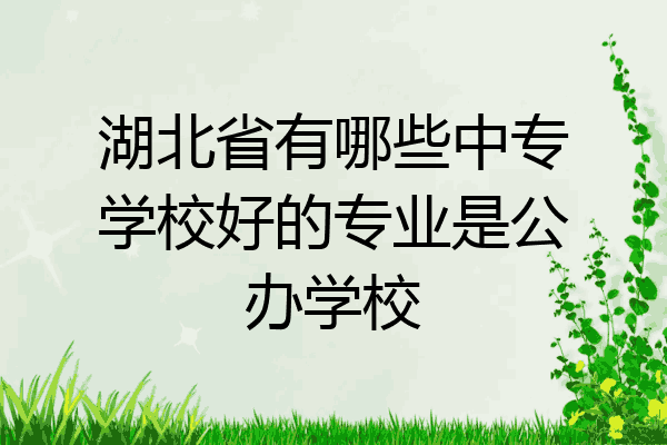 湖北省有哪些中专学校好的专业是公办学校