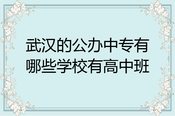武汉的公办中专有哪些学校有高中班
