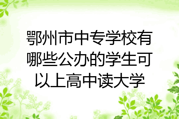 鄂州市中专学校有哪些公办的学生可以上高中读大学