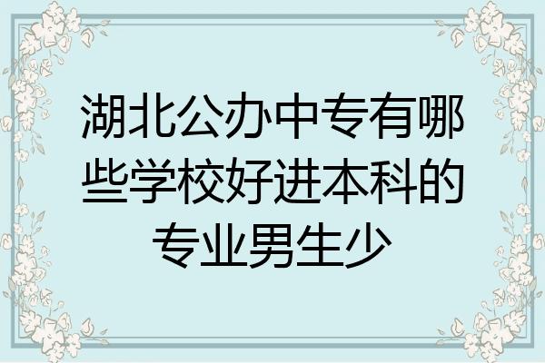 湖北公办中专有哪些学校好进本科的专业男生少