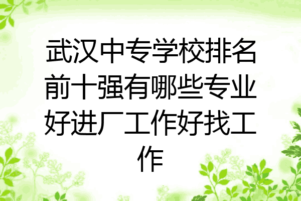 武汉中专学校排名前十强有哪些专业好进厂工作好找工作