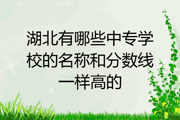 湖北有哪些中专学校的名称和分数线一样高的