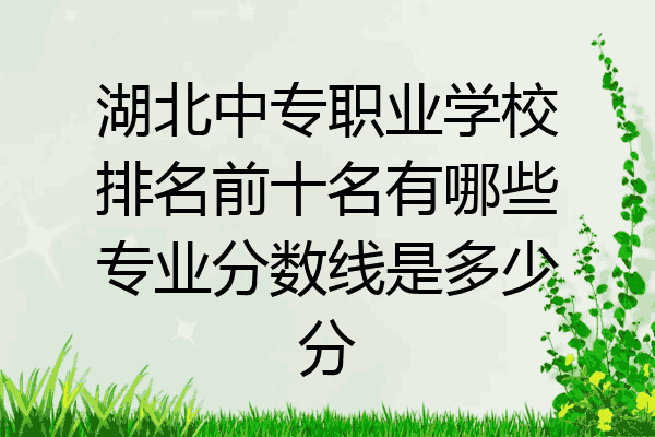 湖北中专职业学校排名前十名有哪些专业分数线是多少分