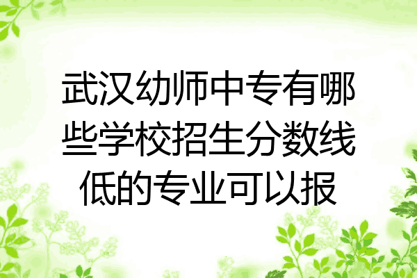 武汉幼师中专有哪些学校招生分数线低的专业可以报
