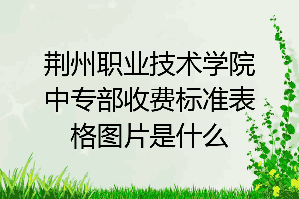 荆州职业技术学院中专部收费标准表格图片是什么