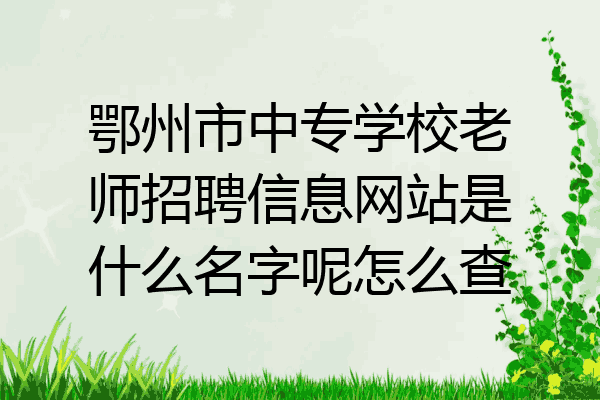 鄂州市中专学校老师招聘信息网站是什么名字呢怎么查