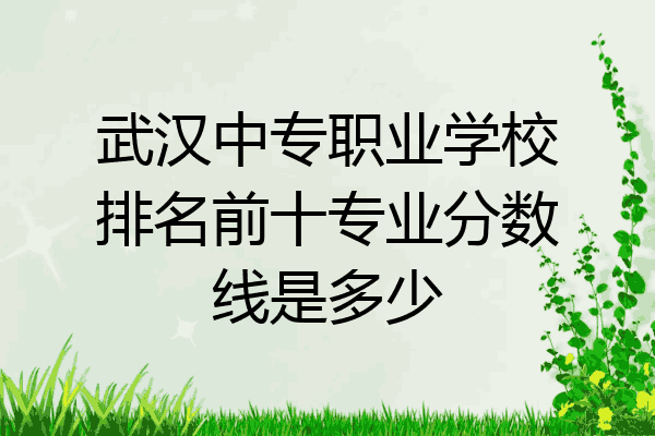 武汉中专职业学校排名前十专业分数线是多少