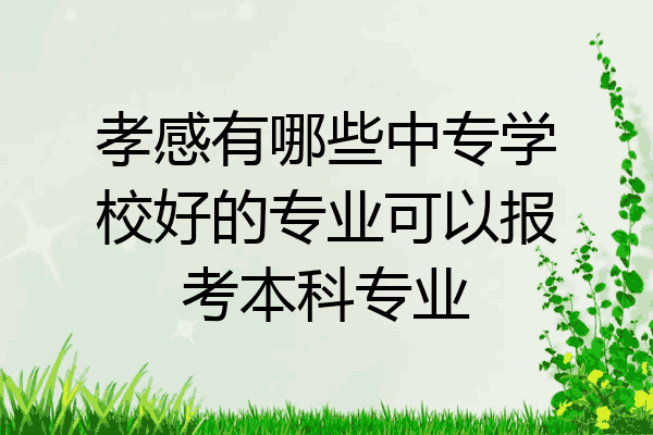 孝感有哪些中专学校好的专业可以报考本科专业