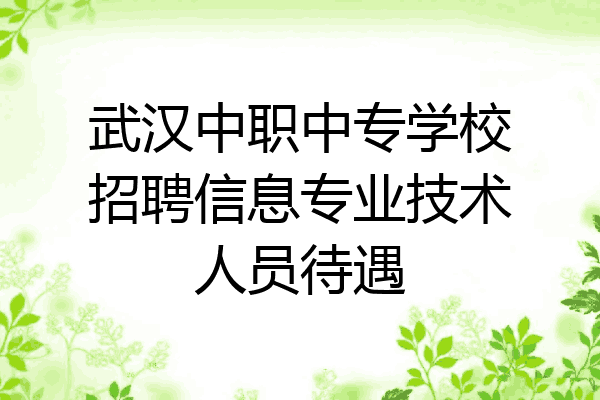 武汉中职中专学校招聘信息专业技术人员待遇