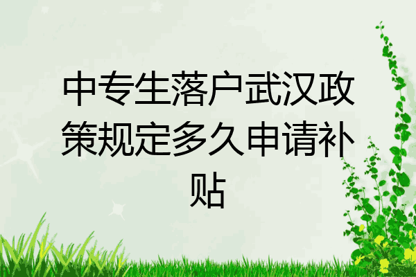 中专生落户武汉政策规定多久申请补贴