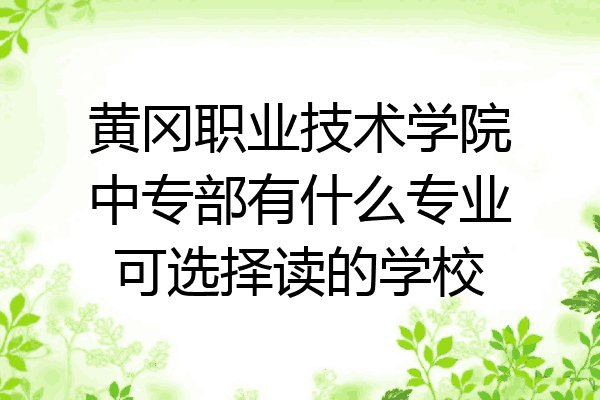 黄冈职业技术学院中专部有什么专业可选择读的学校