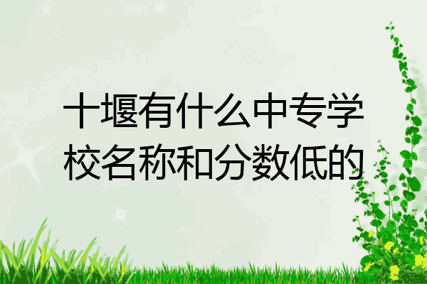 十堰有什么中专学校名称和分数低的