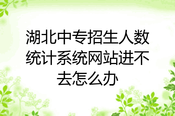 湖北中专招生人数统计系统网站进不去怎么办