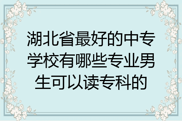 湖北省最好的中专学校有哪些专业男生可以读专科的