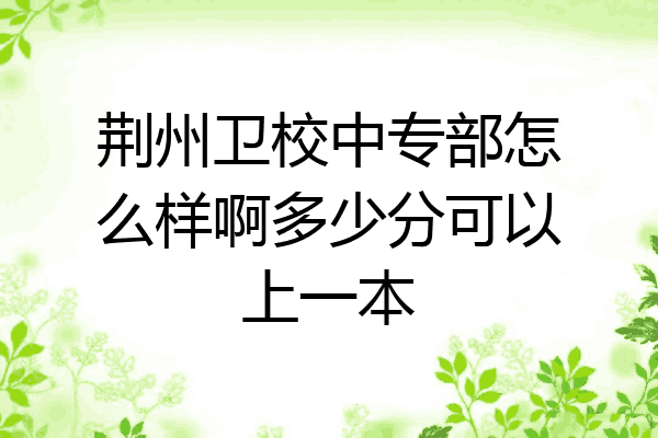 荆州卫校中专部怎么样啊多少分可以上一本