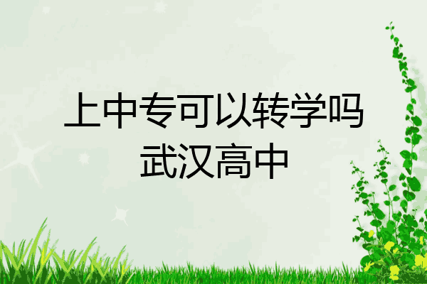 上中专可以转学吗武汉高中