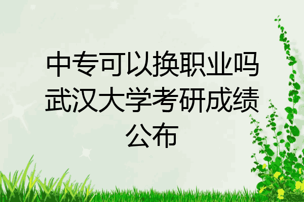 中专可以换职业吗武汉大学考研成绩公布