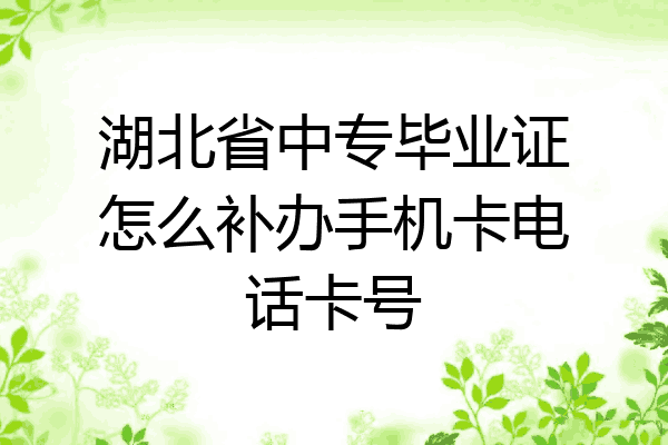 湖北省中专毕业证怎么补办手机卡电话卡号