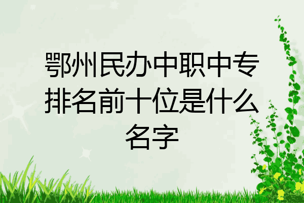 鄂州民办中职中专排名前十位是什么名字