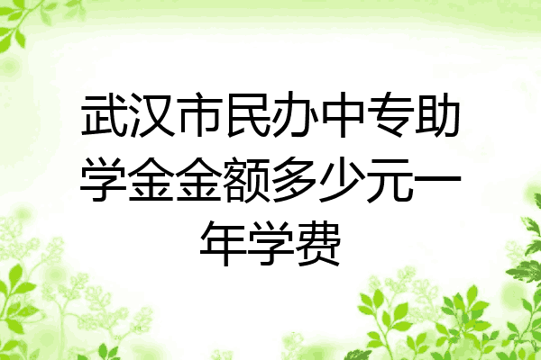 武汉市民办中专助学金金额多少元一年学费