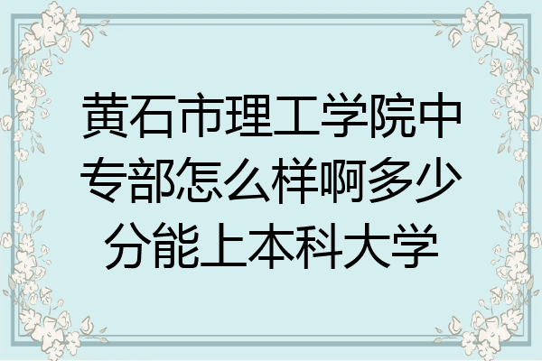 黄石市理工学院中专部怎么样啊多少分能上本科大学