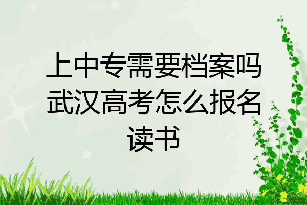 上中专需要档案吗武汉高考怎么报名读书