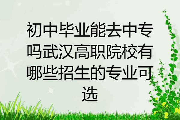 初中毕业能去中专吗武汉高职院校有哪些招生的专业可选