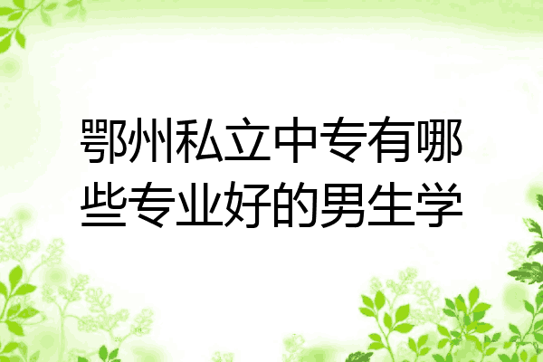 鄂州私立中专有哪些专业好的男生学
