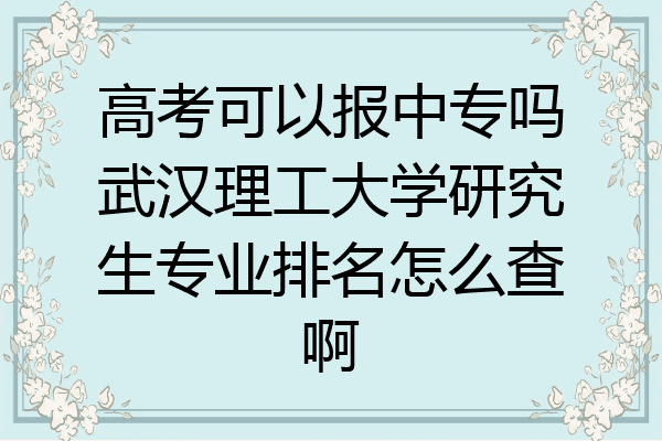 高考可以报中专吗武汉理工大学研究生专业排名怎么查啊