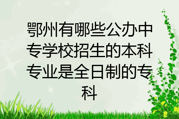 鄂州有哪些公办中专学校招生的本科专业是全日制的专科