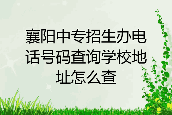 襄阳中专招生办电话号码查询学校地址怎么查