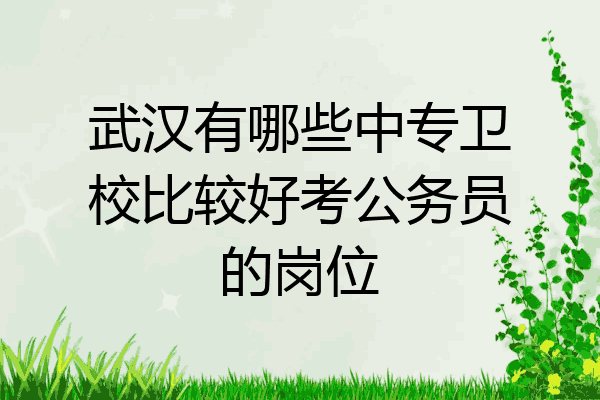武汉有哪些中专卫校比较好考公务员的岗位