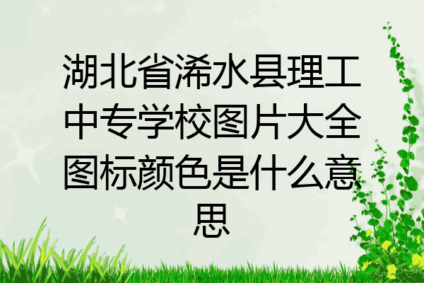 湖北省浠水县理工中专学校图片大全图标颜色是什么意思