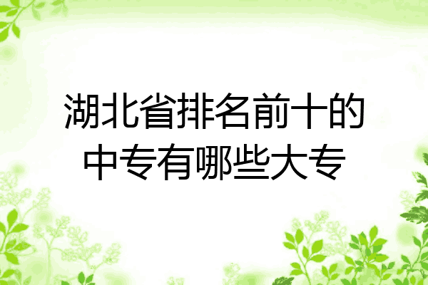湖北省排名前十的中专有哪些大专