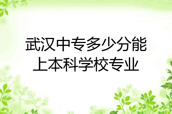 武汉中专多少分能上本科学校专业