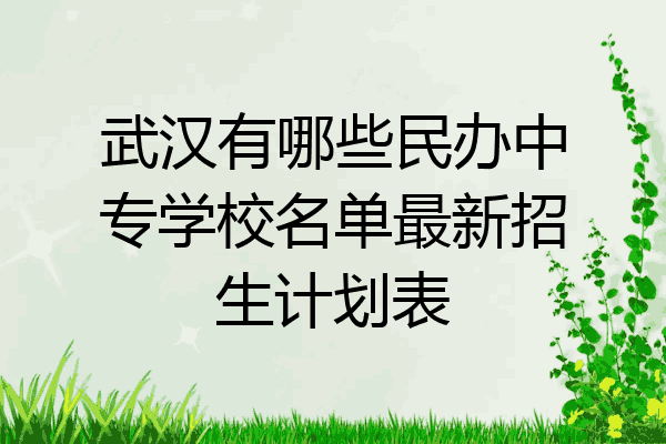 武汉有哪些民办中专学校名单最新招生计划表