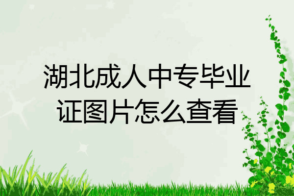 湖北成人中专毕业证图片怎么查看