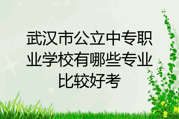武汉市公立中专职业学校有哪些专业比较好考