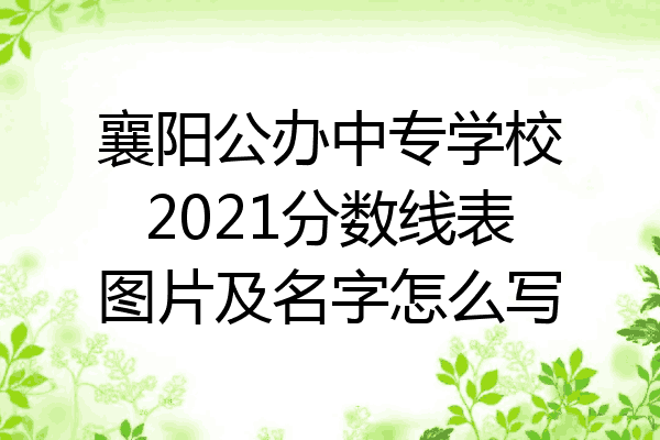 襄阳公办中专学校2021分数线表图片及名字怎么写