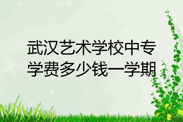 武汉艺术学校中专学费多少钱一学期