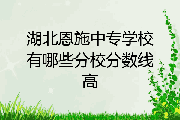 湖北恩施中专学校有哪些分校分数线高