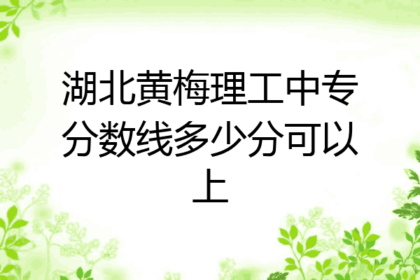 湖北黄梅理工中专分数线多少分可以上